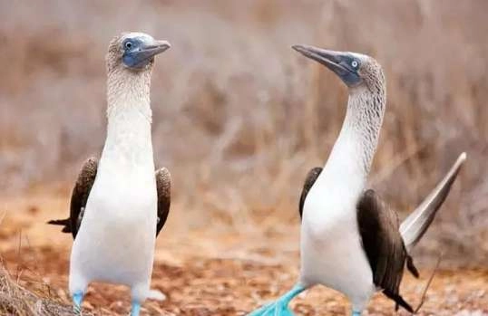 1534483242175808.png image.png