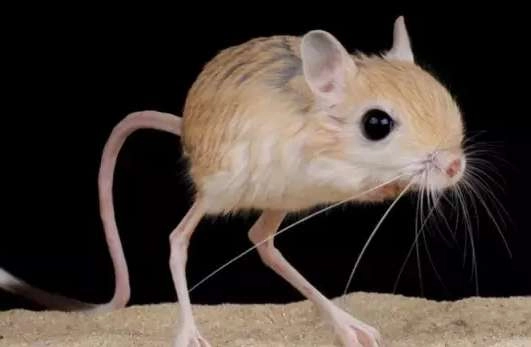 1534483259173089.png image.png