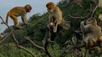 1668395625610358.png 图片.png