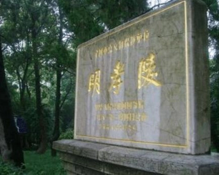 1653376265791523.png image.png