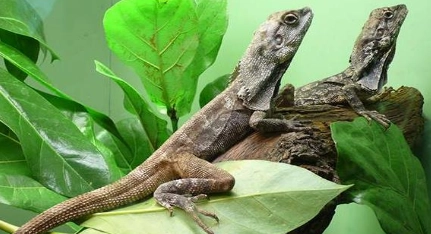 1657004297268509.png image.png