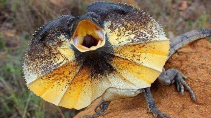 1657004287210514.png image.png