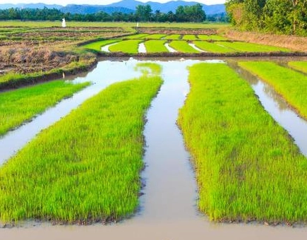 1661307741617519.png image.png