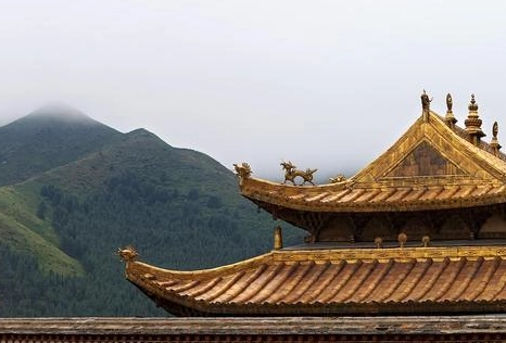 1661307009331862.png image.png