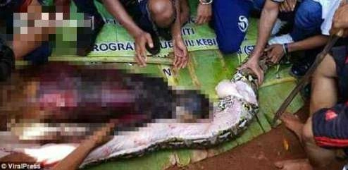 1529235689200533.png blob.png