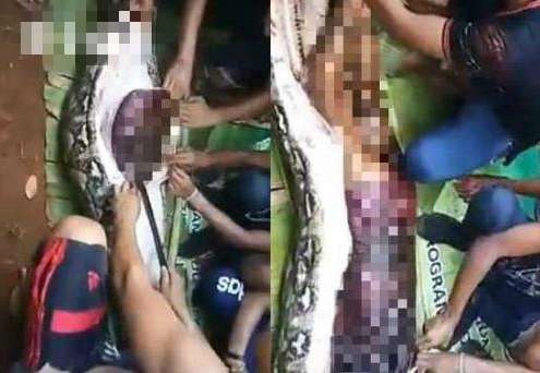 1529235677302732.png blob.png