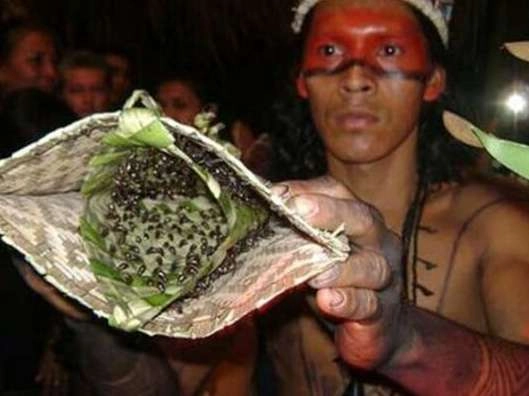 1527643088252870.png blob.png