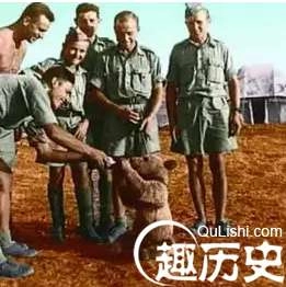 1525657846396255.png image.png