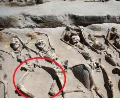 1661148574369925.png image.png