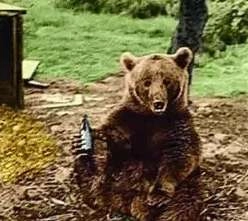 1525657857832508.png image.png