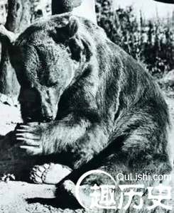 1525657956882275.png image.png