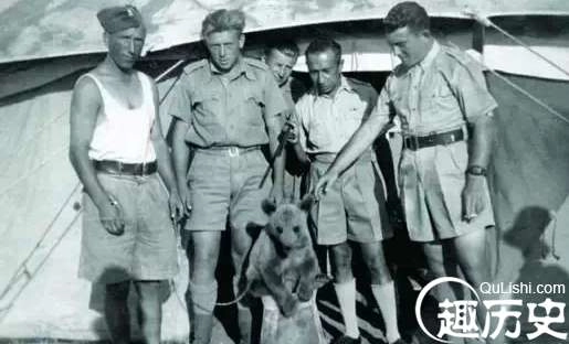 1525657824898680.png image.png