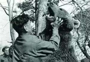 1525657868478577.png image.png