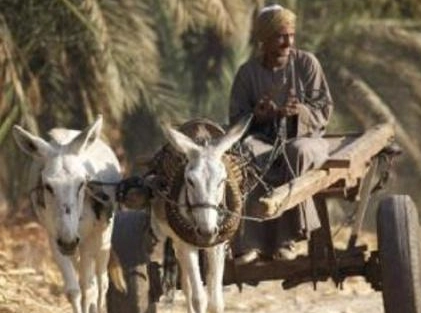 1661154340532981.png image.png