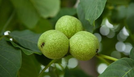 1656580062801980.png image.png