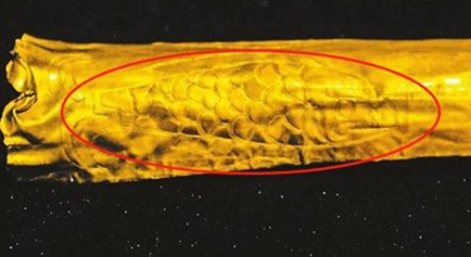 1660897574522634.png 图片.png