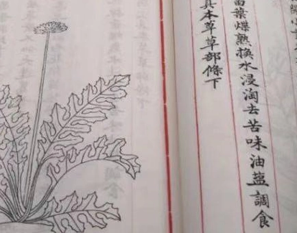 1652839540607883.png image.png