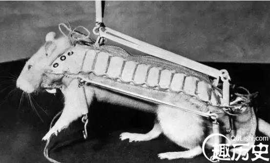 1526608048374230.png image.png