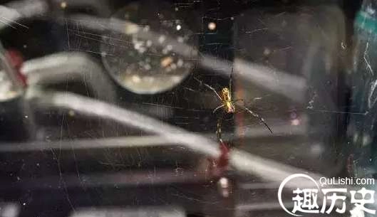 1526608072204034.png image.png