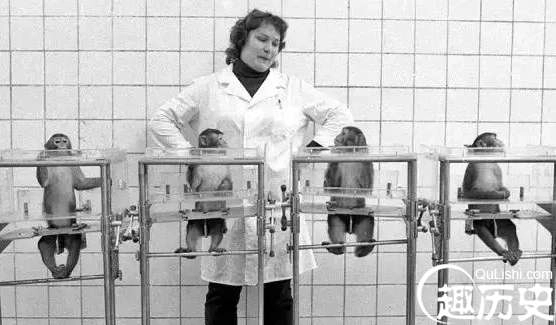 1526608017947046.png image.png