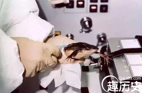 1526608061613808.png image.png