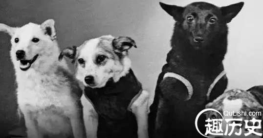 1526607940989363.png image.png