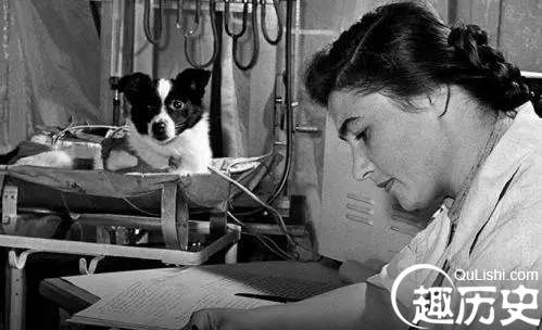 1526607923154266.png image.png