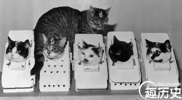 1526607975504933.png image.png