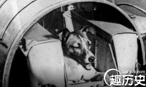 1526607887644165.png image.png