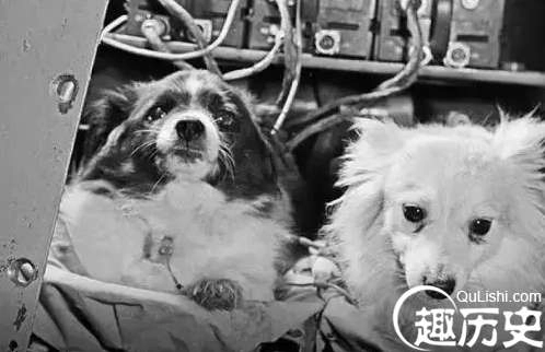 1526607954280108.png image.png