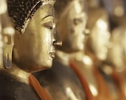 1652682828218924.png image.png