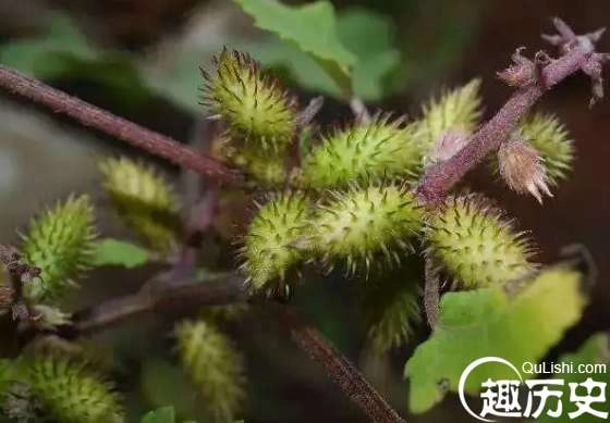 1526349313747169.png image.png