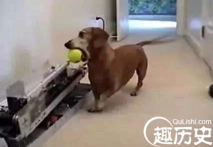 1526347886442699.png image.png