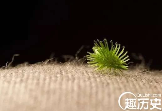 1525921813968569.png image.png