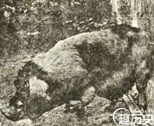 1526347269341952.png image.png