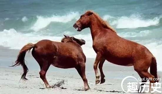 1525747802393162.png image.png