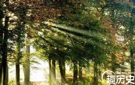 1525743997348990.png image.png