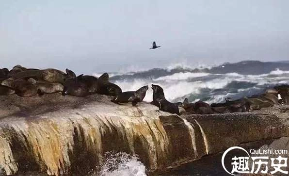 1525747747898876.png image.png