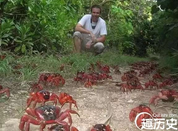 1525747736792708.png image.png