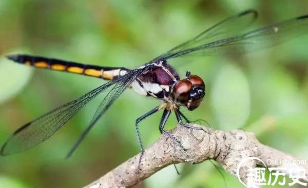 1525744074833172.png image.png