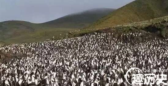 1525747827967269.png image.png