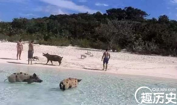 1525747816888738.png image.png