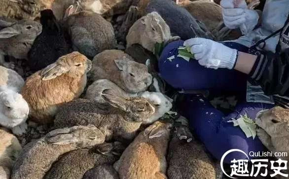 1525747771752829.png image.png