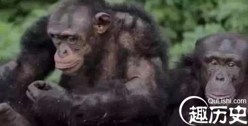 1525747760369713.png image.png