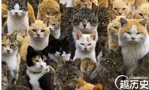 1525747724588780.png image.png