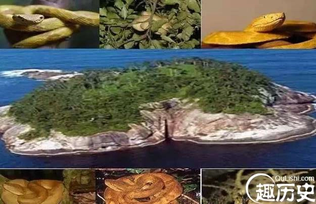 1525747781401444.png image.png