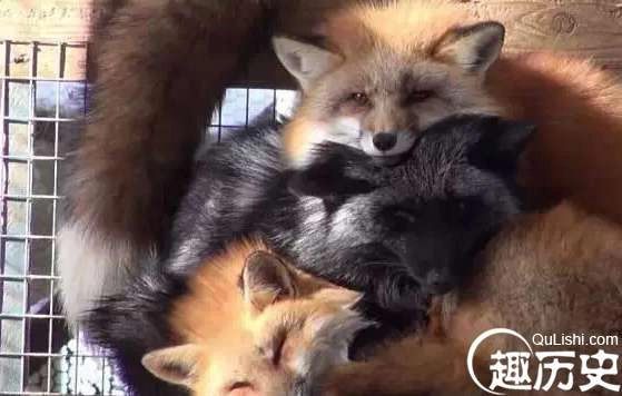 1525747792151721.png image.png