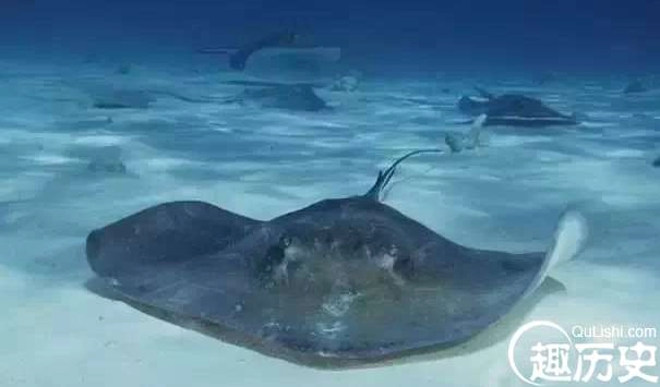 1525747837630036.png image.png