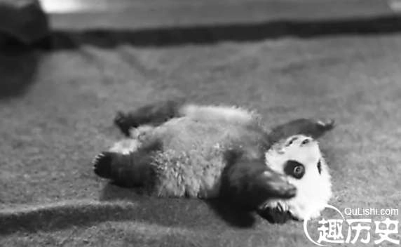 1525402006767116.png image.png