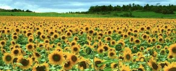 1525338741486857.png image.png